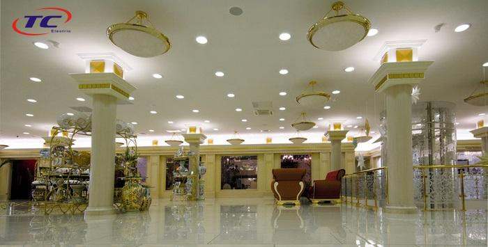 đèn led âm trần khối đúc duhal