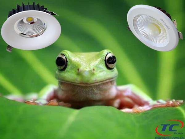 đèn led mắt ếch