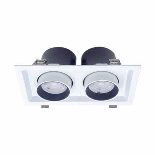 Đèn led Downlight chiếu điểm 2x15W (DFC2151)