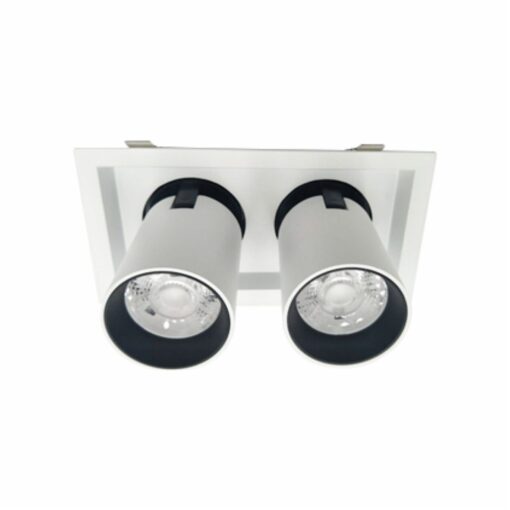 Đèn led Downlight chiếu điểm 2x15W (DFC2152)