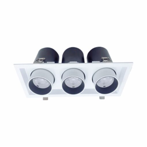 Đèn led Downlight chiếu điểm 3x15W (DFC3151)