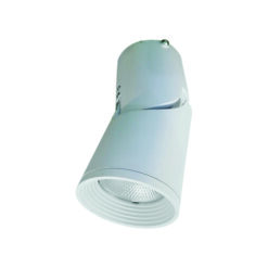 Đèn led gắn nổi chiếu điểm trang trí 10W (DIB0105)