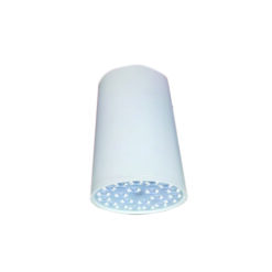 Đèn led chiếu sâu gắn nổi trang trí 12W (DIB2093)