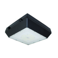 Đèn pha led ốp trần 20W (DRG0201)